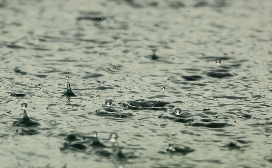 Refleksja nad ochroną wód powierzchniowych w Krakowie