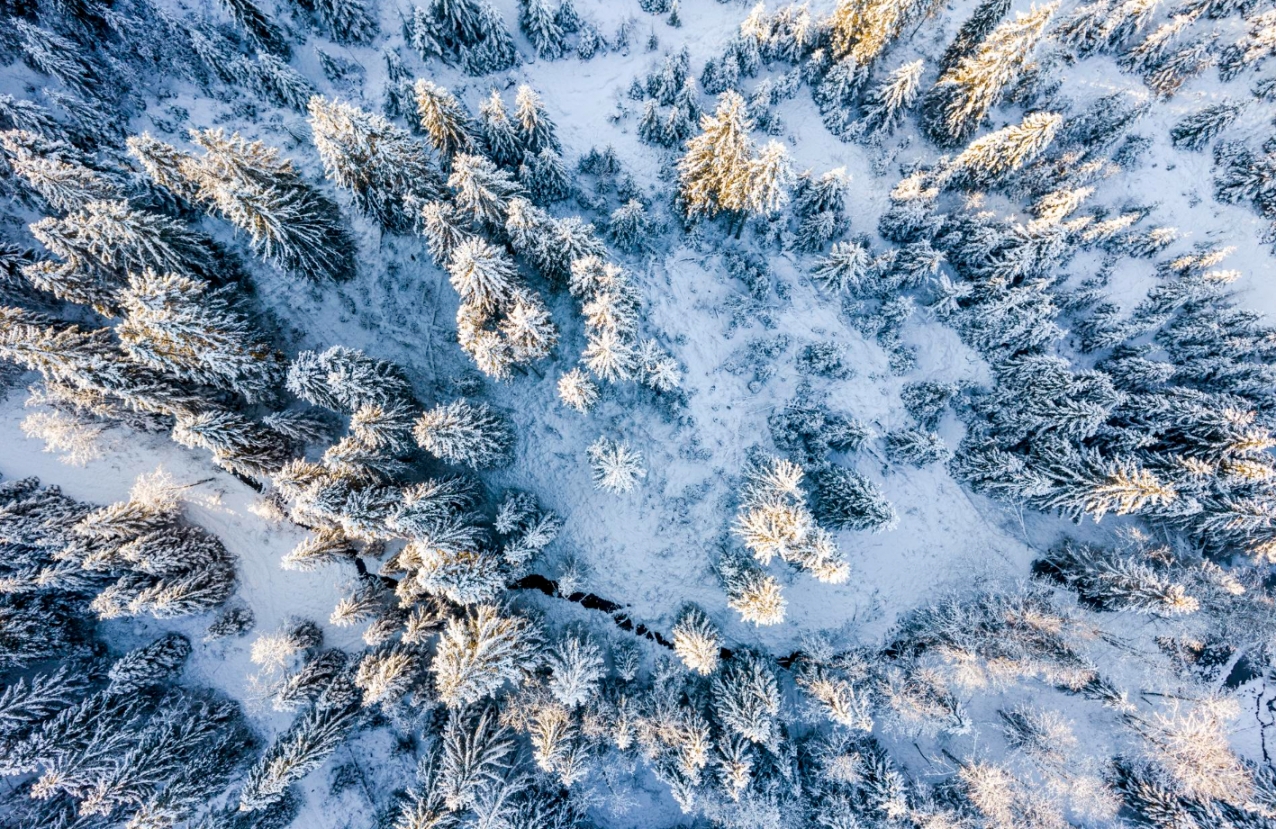 Ostrzeżenie meteorologiczne o intensywnych opadach śniegu dla naszego regionu