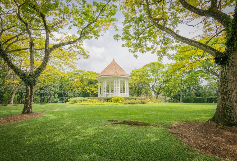 Krakowianie walczą o park Ptasi Raj: Obywatelska inicjatywa w magistracie