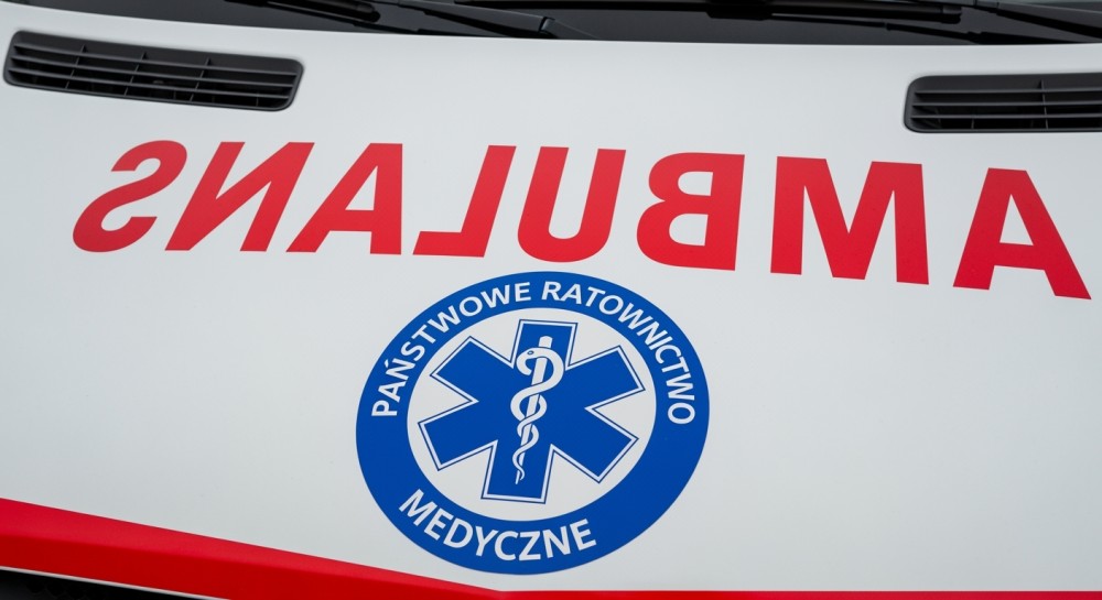 Kraków: Kotek uratowany z pułapki pod maską samochodu przez Straż Miejską