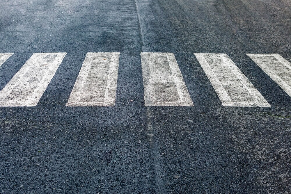 Bezpańskie psy w Jabłonce: Wzrost zagrożeń dla społeczności