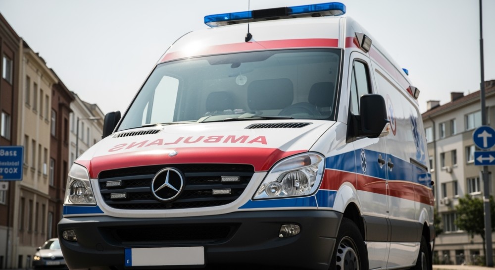 Nocna akcja ratunkowa: Strażnicy ratują psa z rzeki Wilga